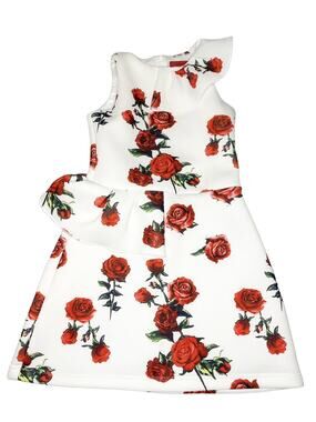 Peppermint Rose Print Dress Size 6